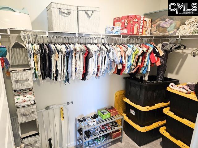 spacious closet with carpet floors