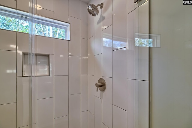 interior details with a shower with door