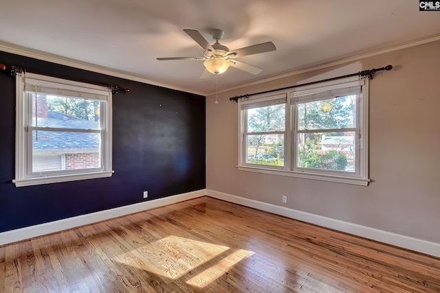 spare room featuring light hardwood / wood-style flooring, ceiling fan, and crown molding