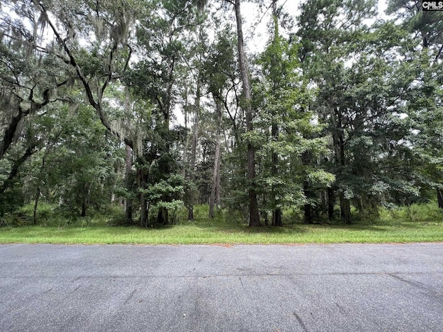 269 Oakridge Ln Unit 58, Daufuskie Island SC, 29915 land for sale