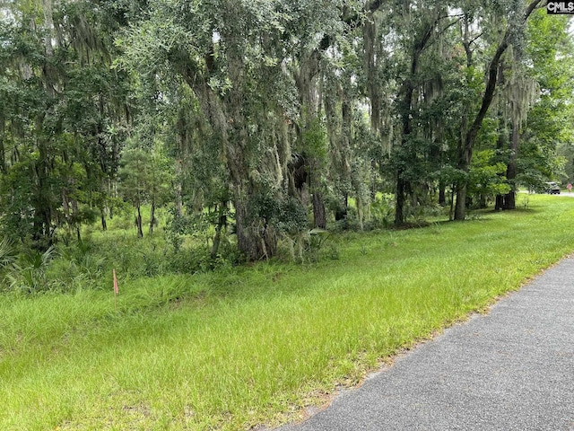 Listing photo 2 for 269 Oakridge Ln Unit 58, Daufuskie Island SC 29915