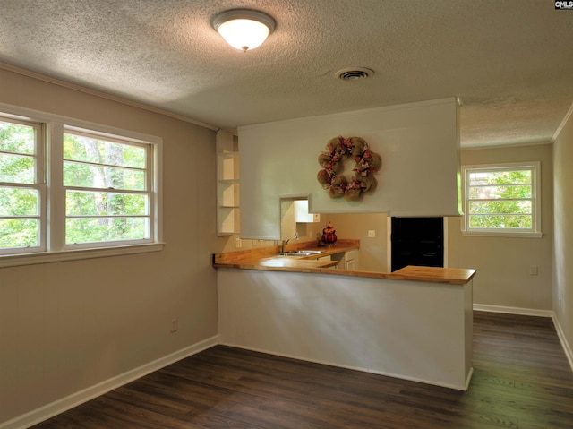 kitchen featuring a healthy amount of sunlight, kitchen peninsula, sink, and ornamental molding