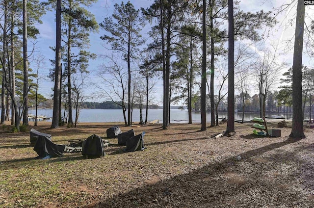 view of property's community with a water view