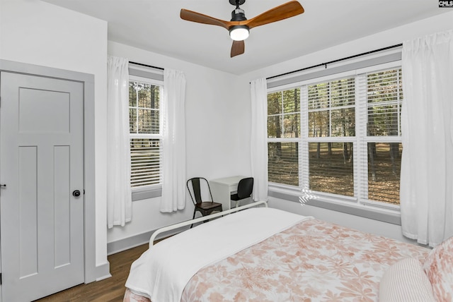 bedroom featuring ceiling fan and dark hardwood / wood-style floors