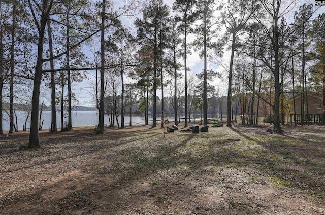 view of yard featuring a water view