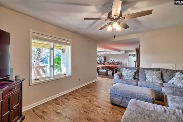 living room with ceiling fan, light hardwood / wood-style floors, and track lighting