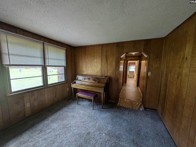 misc room featuring wood walls, carpet floors, and a textured ceiling