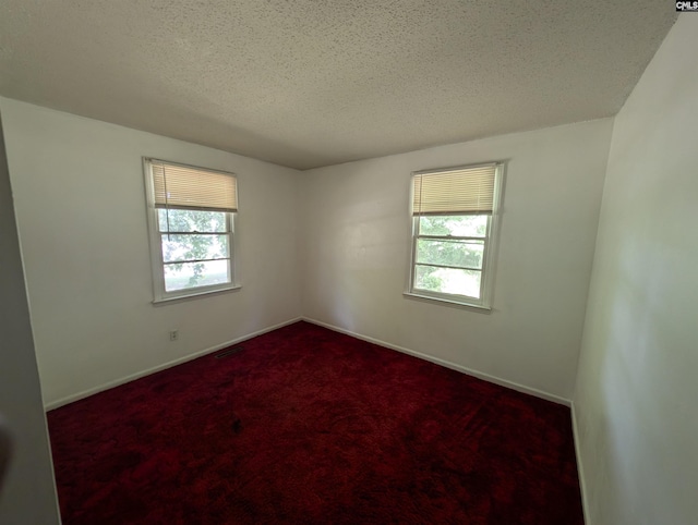 unfurnished room with a textured ceiling and a healthy amount of sunlight