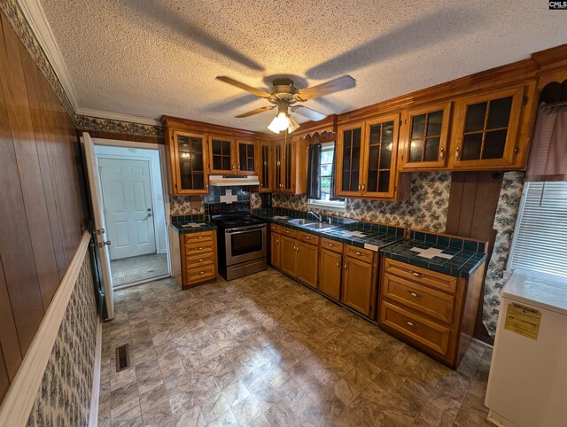 kitchen featuring electric range, sink, ceiling fan, and ornamental molding