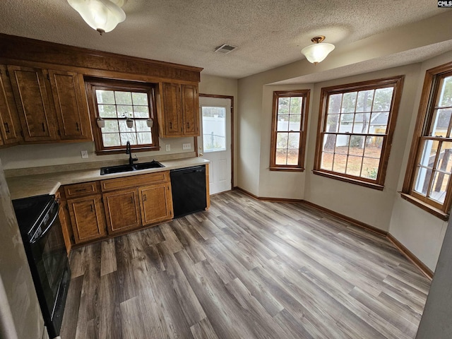 kitchen featuring black appliances, a healthy amount of sunlight, light hardwood / wood-style floors, and sink