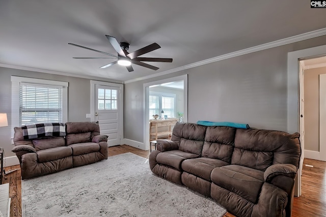 living room featuring ceiling fan, light hardwood / wood-style flooring, a wealth of natural light, and crown molding