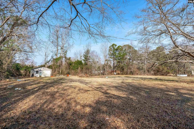 view of yard with a shed