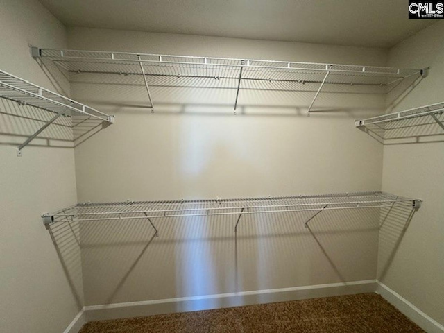 view of walk in closet