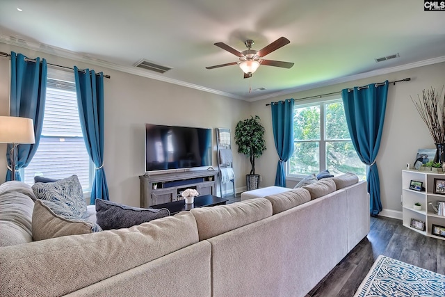 living room with ceiling fan, dark hardwood / wood-style floors, and ornamental molding