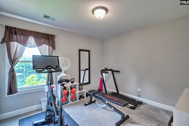 workout area with carpet floors