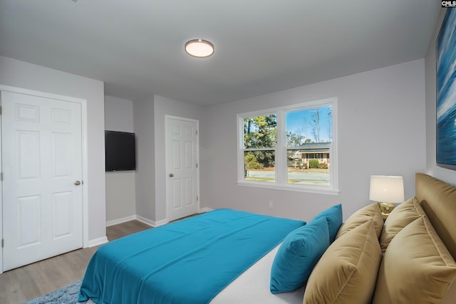 bedroom featuring wood-type flooring