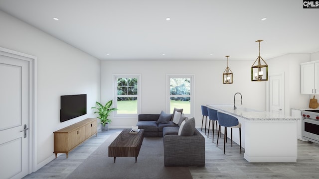 living room featuring light hardwood / wood-style flooring and sink