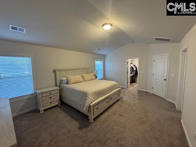 bedroom featuring a spacious closet, dark carpet, a closet, and lofted ceiling