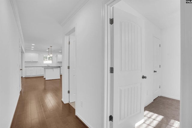 hallway with dark hardwood / wood-style floors, ornamental molding, and sink