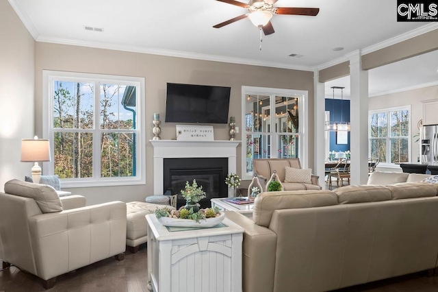 living room featuring ceiling fan, ornamental molding, and dark hardwood / wood-style floors