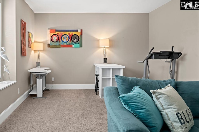 sitting room with carpet floors