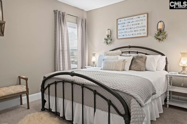 bedroom with carpet floors