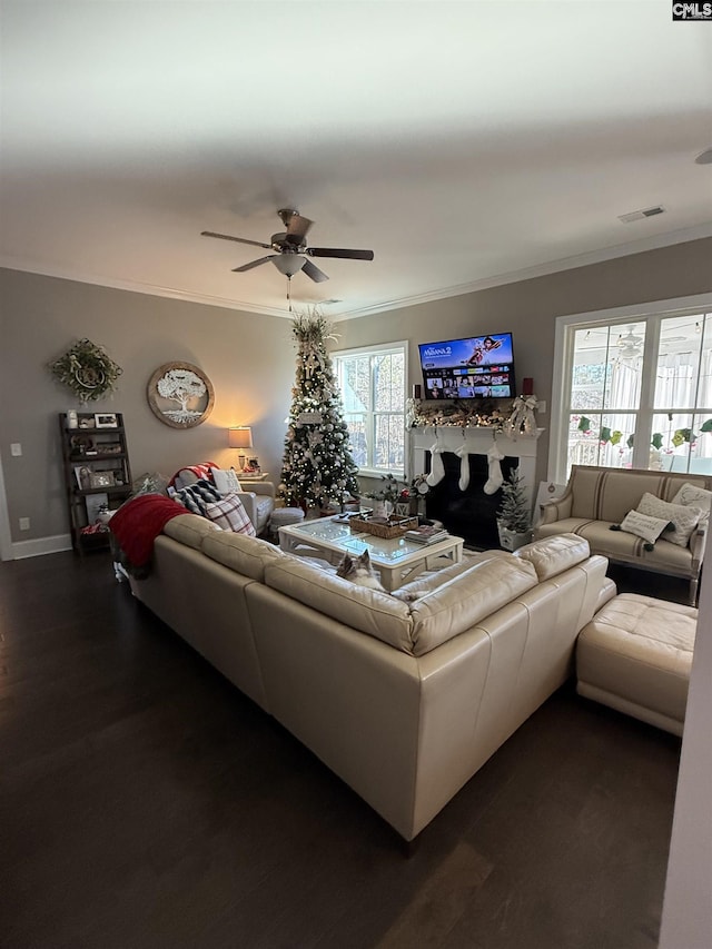 living room with ceiling fan, a fireplace, dark hardwood / wood-style floors, and crown molding