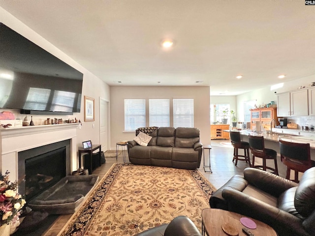 living room featuring light hardwood / wood-style flooring