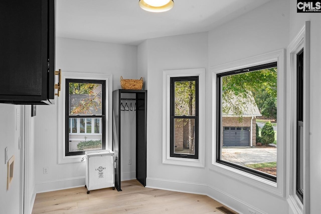 interior space featuring light hardwood / wood-style flooring and multiple windows