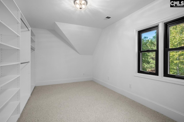 bonus room featuring carpet flooring and a wealth of natural light