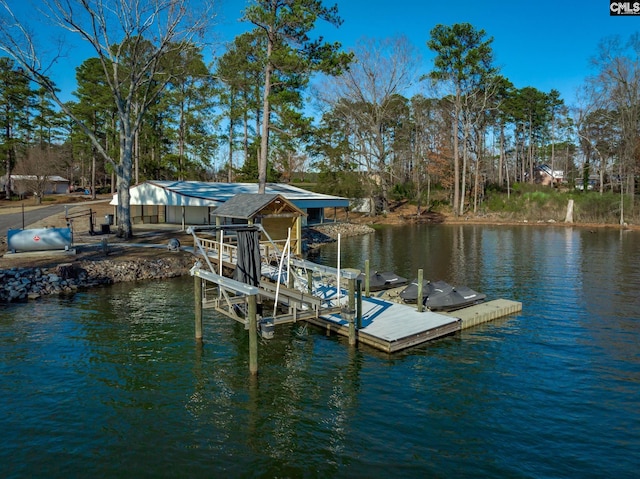 dock area with a water view