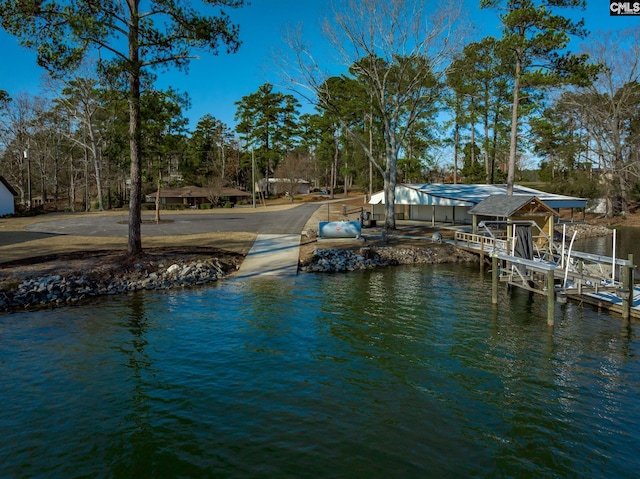 dock area with a water view