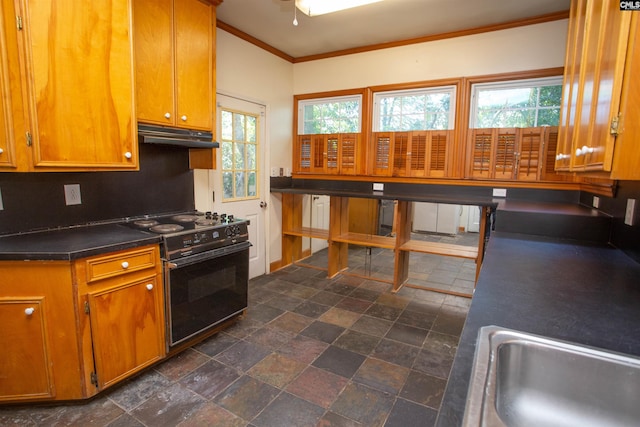 kitchen featuring gas stove, backsplash, a wealth of natural light, and sink