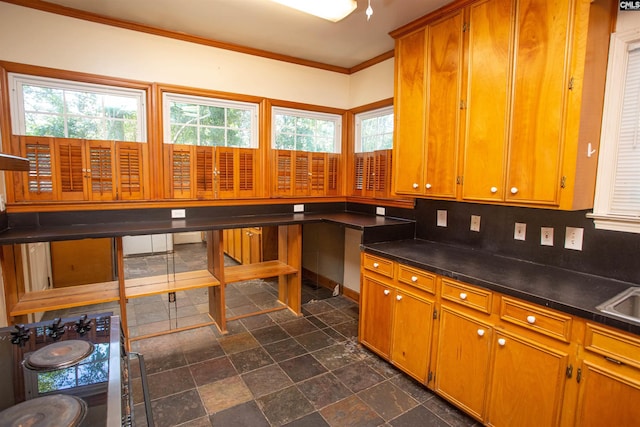 kitchen featuring tasteful backsplash, ornamental molding, and sink