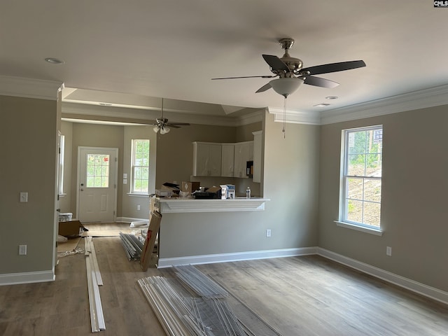 interior space with kitchen peninsula, light hardwood / wood-style flooring, ceiling fan, and ornamental molding