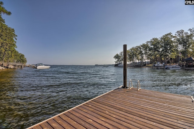 dock area with a water view