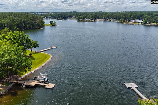 birds eye view of property with a water view and a view of trees