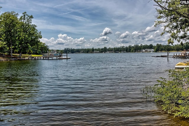 property view of water featuring a boat dock