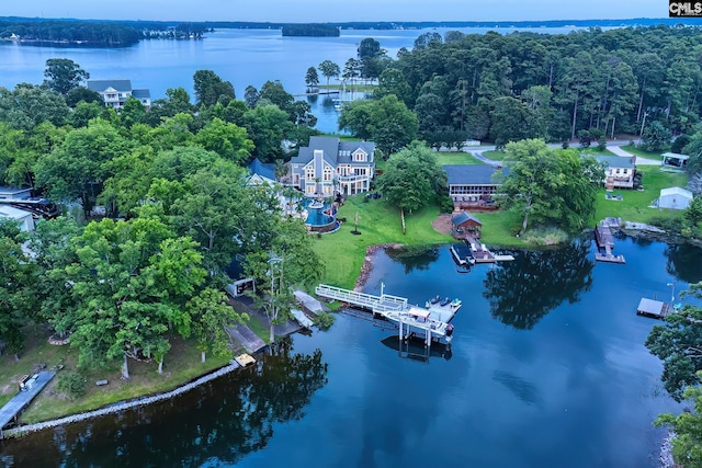 birds eye view of property with a water view and a forest view