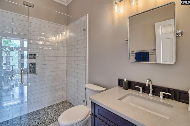 bathroom featuring toilet, a stall shower, and vanity