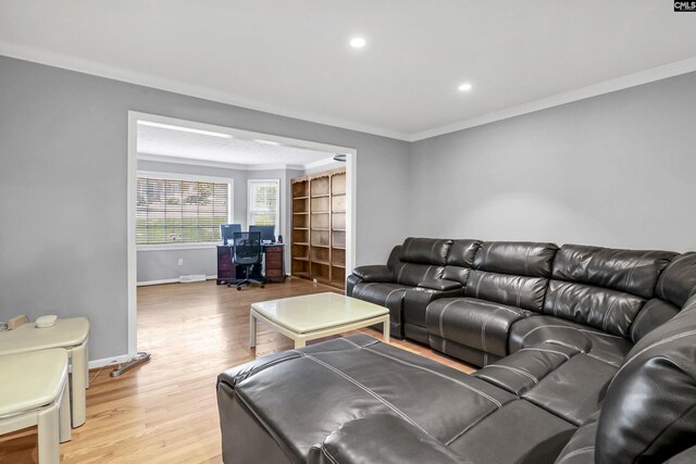 living room featuring light wood-type flooring and crown molding