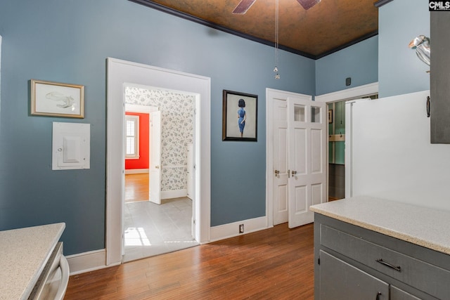 kitchen featuring ceiling fan, dark hardwood / wood-style flooring, white refrigerator, crown molding, and gray cabinets