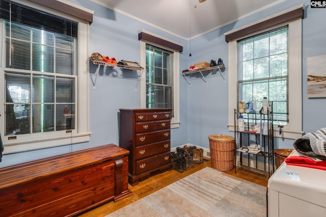 spacious closet with light hardwood / wood-style flooring and ceiling fan