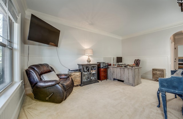 interior space featuring ornamental molding and a healthy amount of sunlight