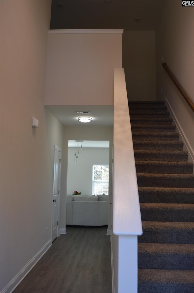 stairs featuring hardwood / wood-style flooring