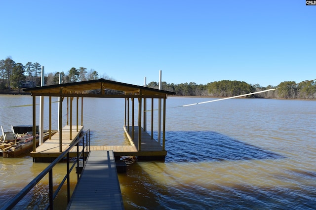 dock area with a water view