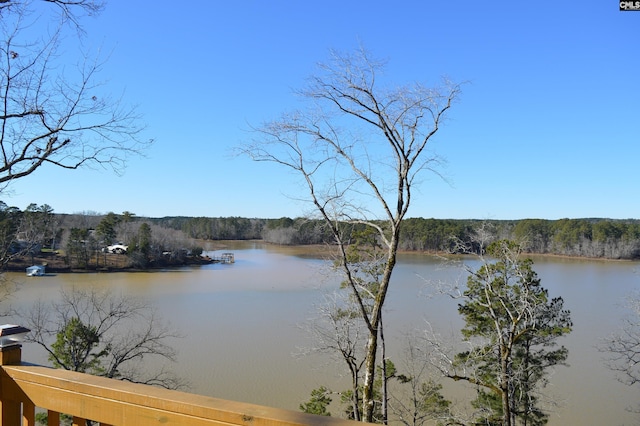 view of water feature