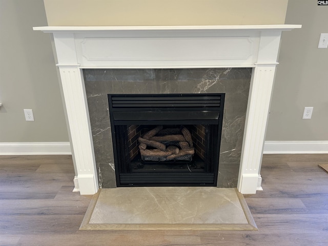 interior details with a high end fireplace and wood-type flooring