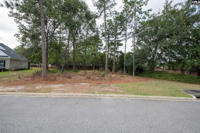 100 Sanibel Cir, Columbia SC, 29223 land for sale