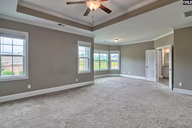 carpeted spare room with a raised ceiling, ceiling fan, and ornamental molding